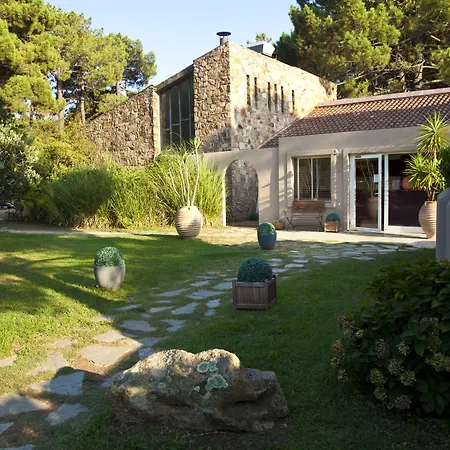 吉利娜酒店 维琪奥港