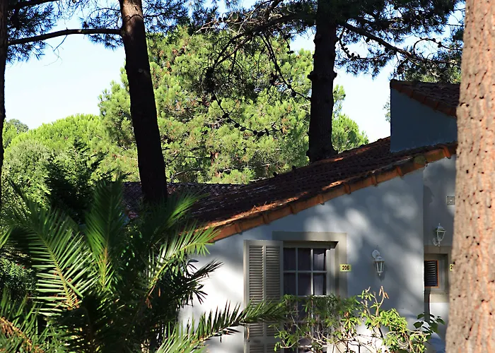 酒店 吉利娜酒店