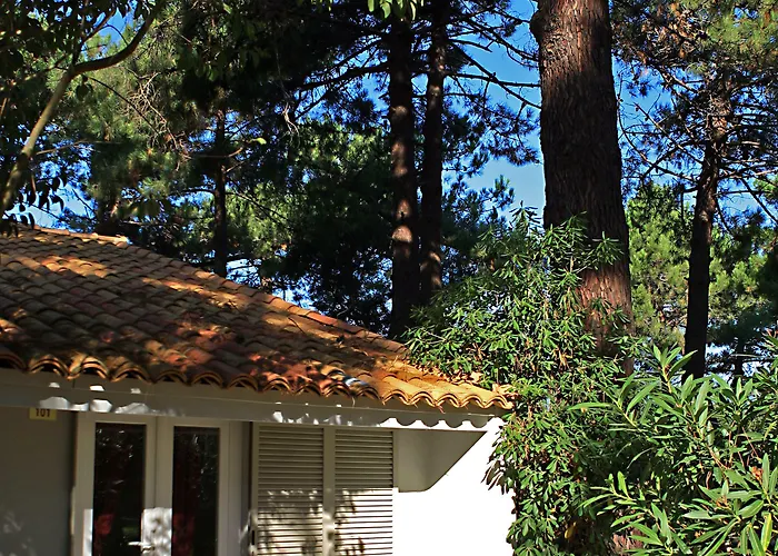 吉利娜酒店 3* 维琪奥港