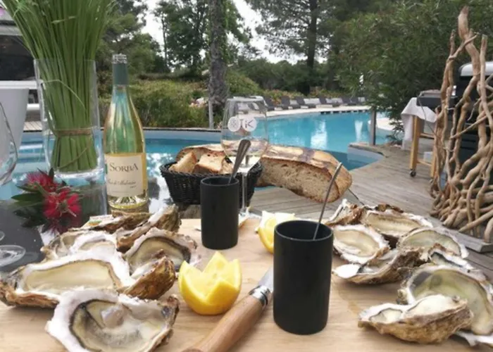 酒店 吉利娜酒店 3*