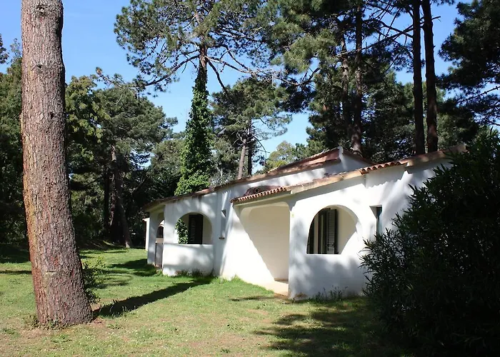 吉利娜酒店 酒店 维琪奥港