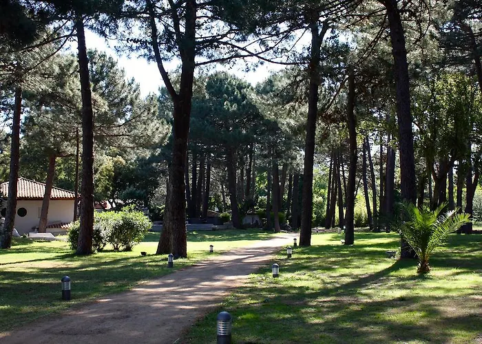 吉利娜酒店 维琪奥港